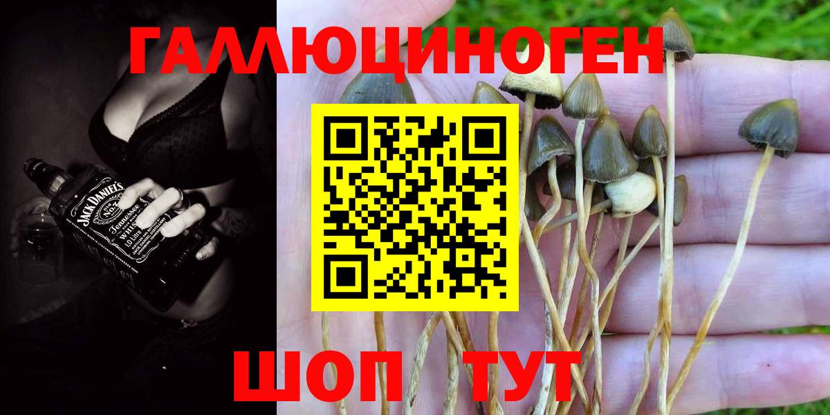 Таганрог  Галлюциногенные грибы Psilocybine cubensis  купить   Псилоцибиновые грибы Cubensis  Вход с VPN 
